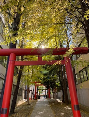 tokyo33-1