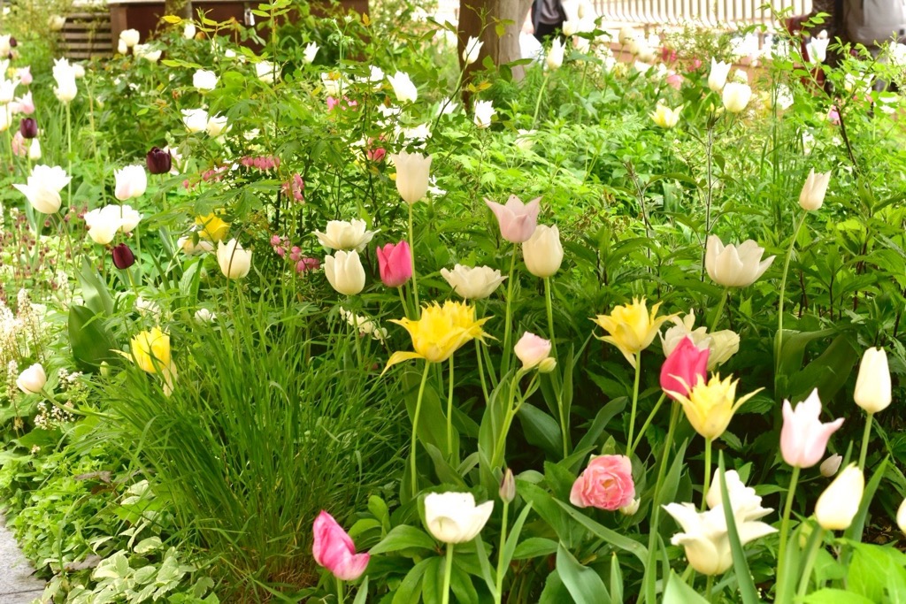 植栽イベント