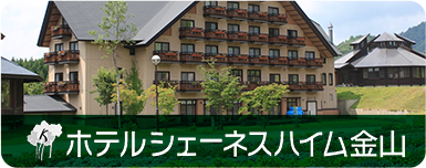 ホテルシェーネスハイム金山