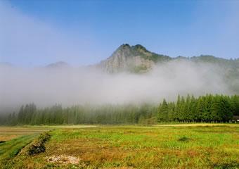 朝霧が晴れる