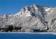 神に見守られる有屋小学校