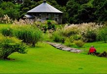 カムロファーム